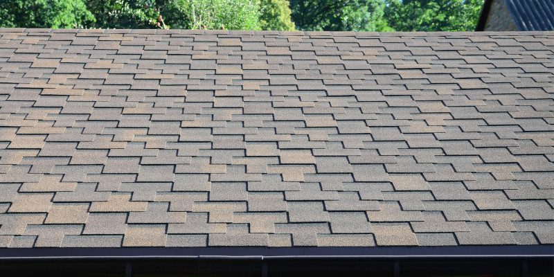 Roof Cleaning