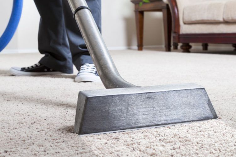 professional-carpet-cleaning-lexington-nc