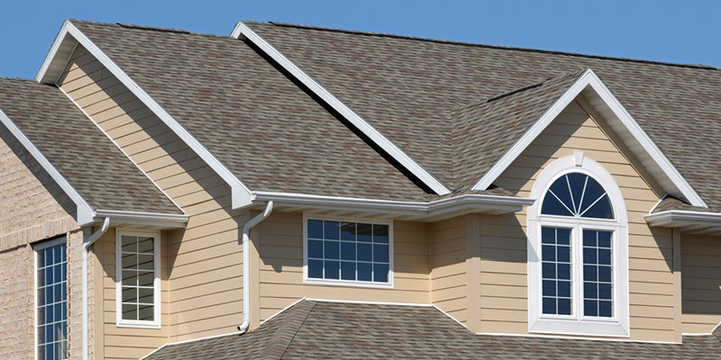 Benefits of Professional Roof Cleaning