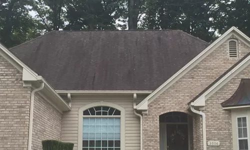 Roof Moss Removal in Winston-Salem, North Carolina