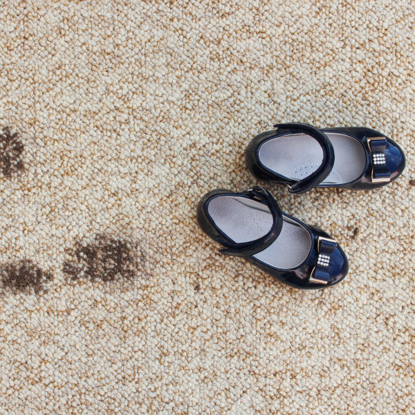 Ongoing Carpet Cleaning