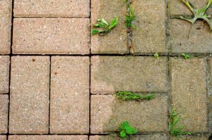 Insider Suggestions For The Ideal Patio Cleaning Schedule