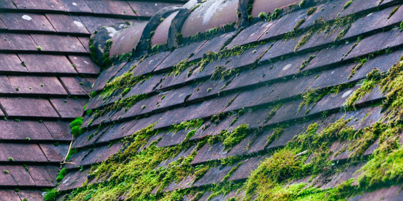 Streaky Roof? Here’s How Our Roof Stain Removal Services Can Help