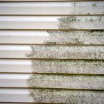 Siding Cleaning